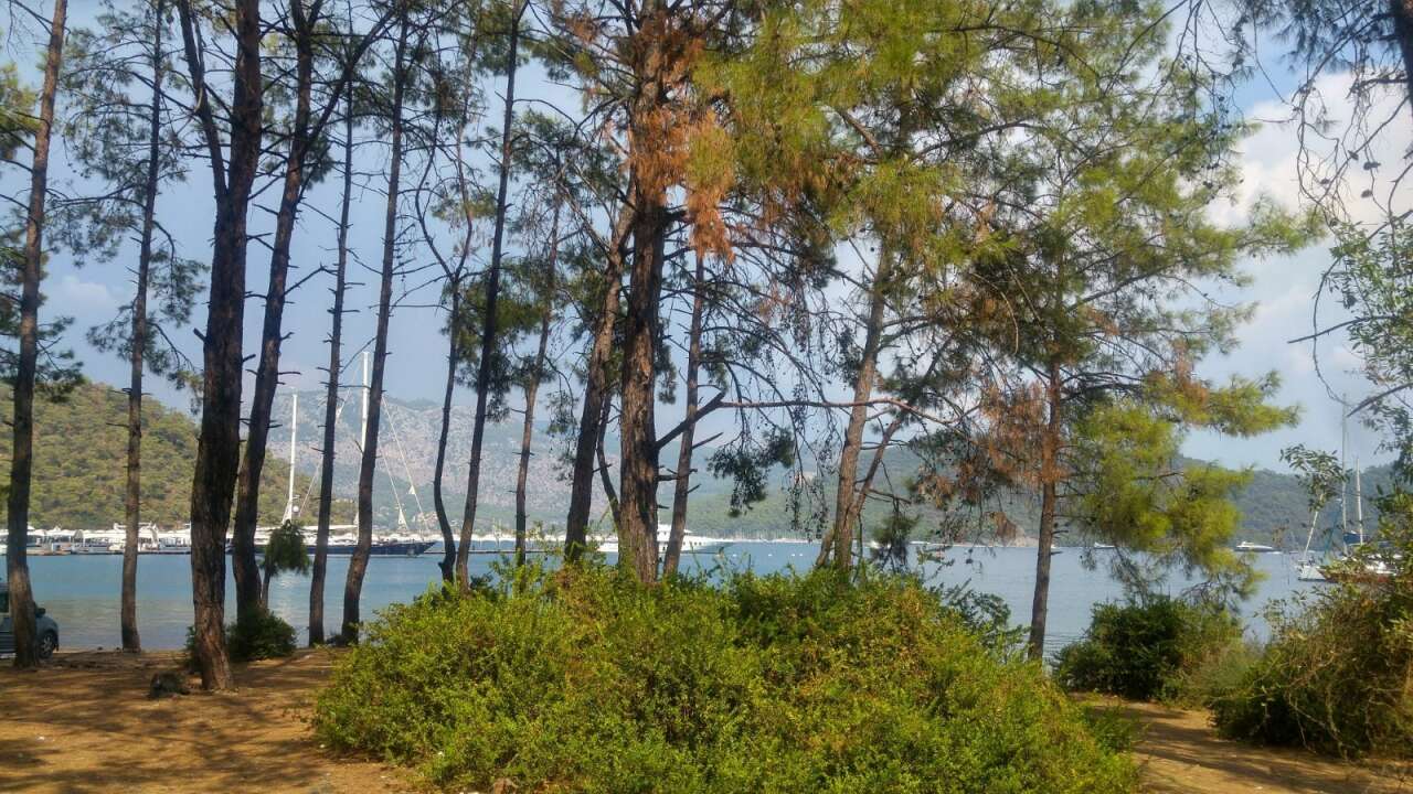 Göcek Ayten Koyu’ndaki Yat/Tekne Bağlama İskelesi Projesi Halkın Görüşüne Açıldı 3